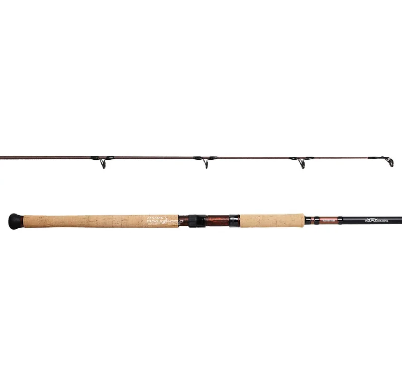 Shimano Raider Surf 1202L 4-8kg Rod