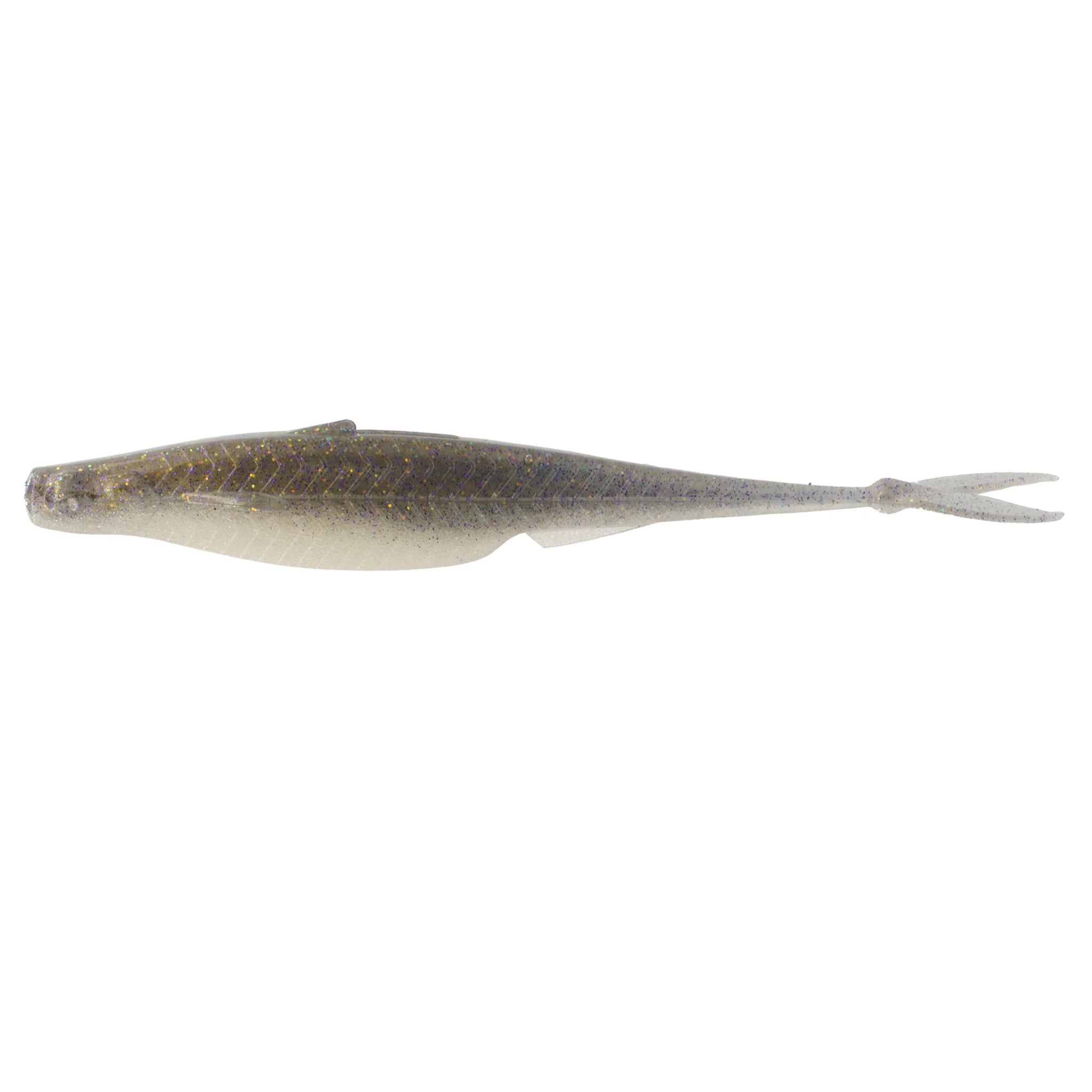 Gizzard Shad