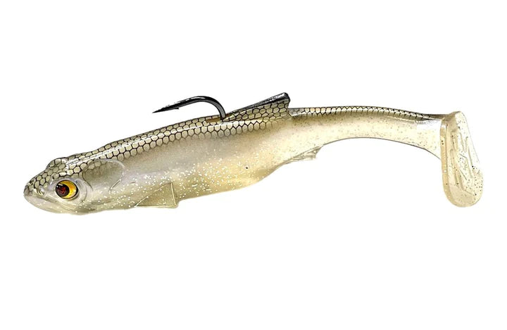 Blackback Shad