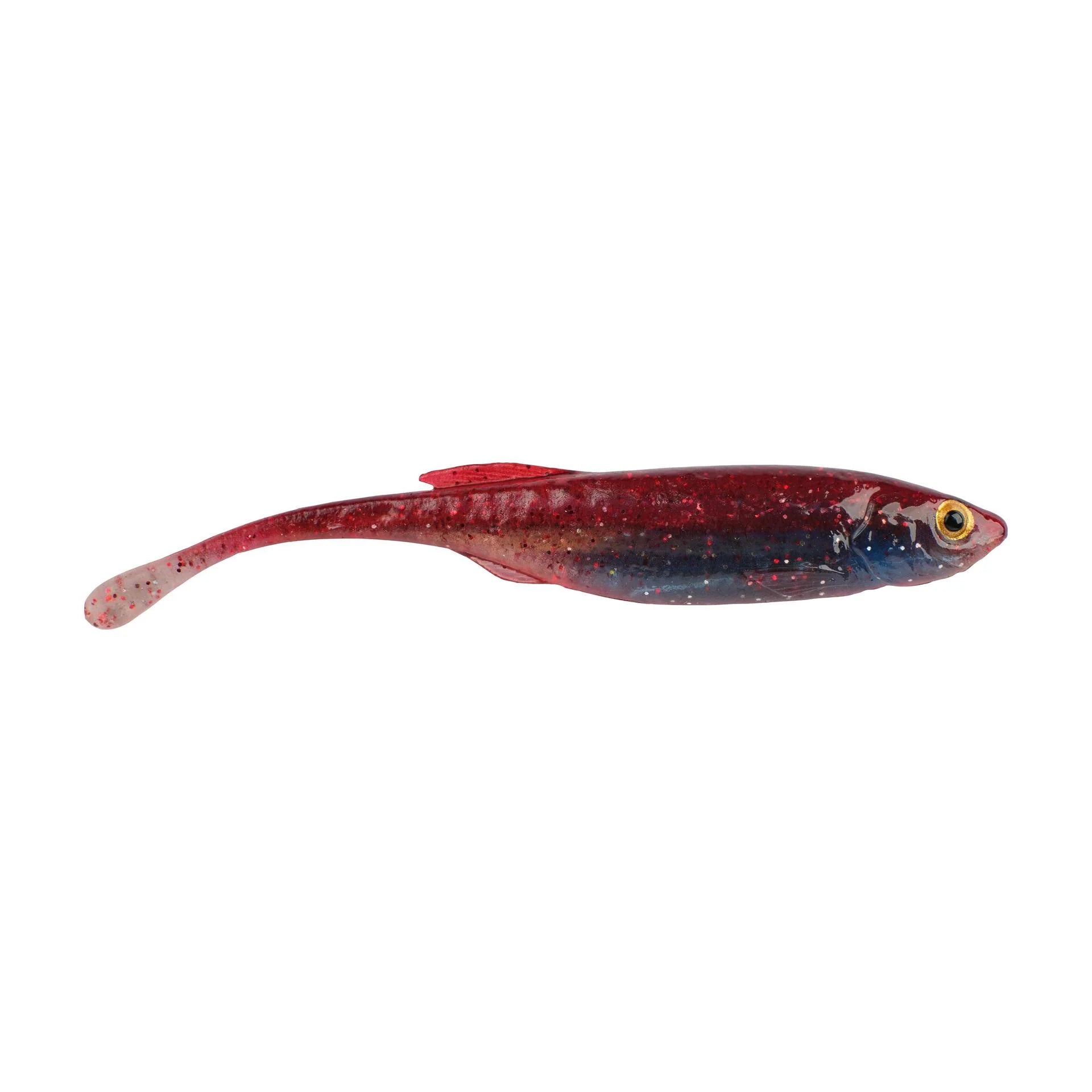 Mutilator Minnow