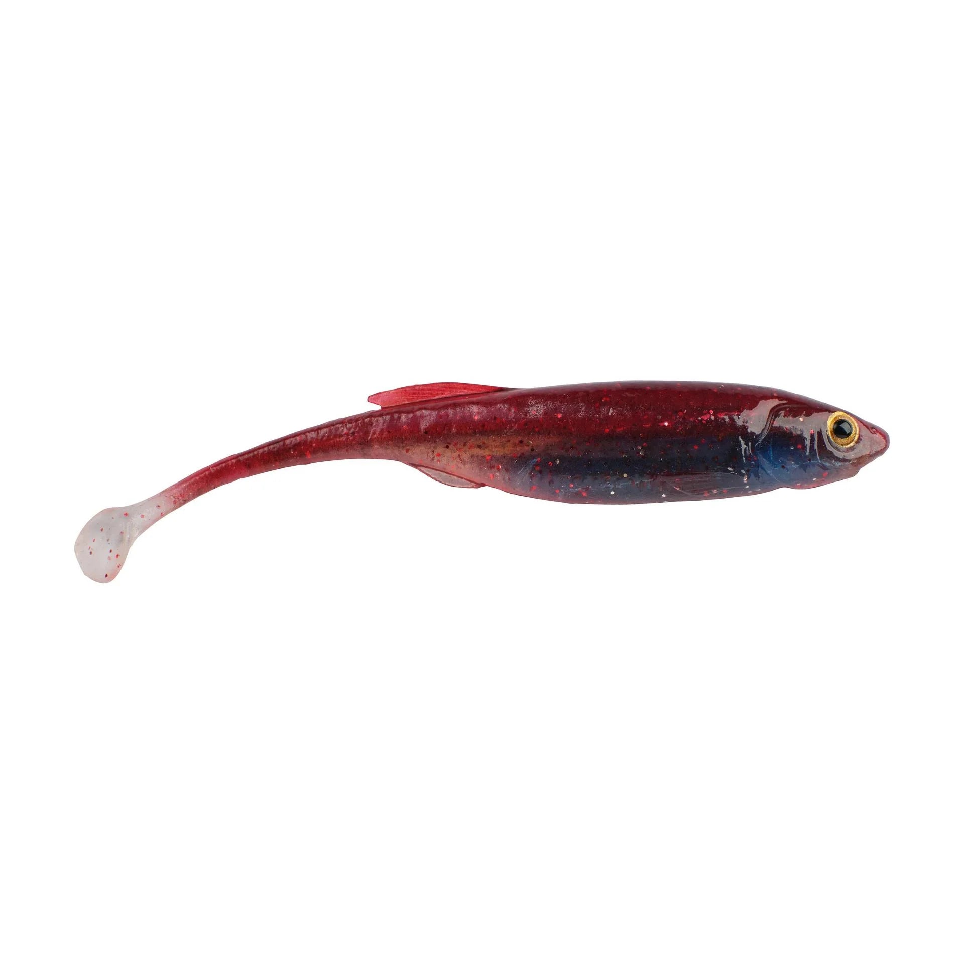 Mutilator Minnow