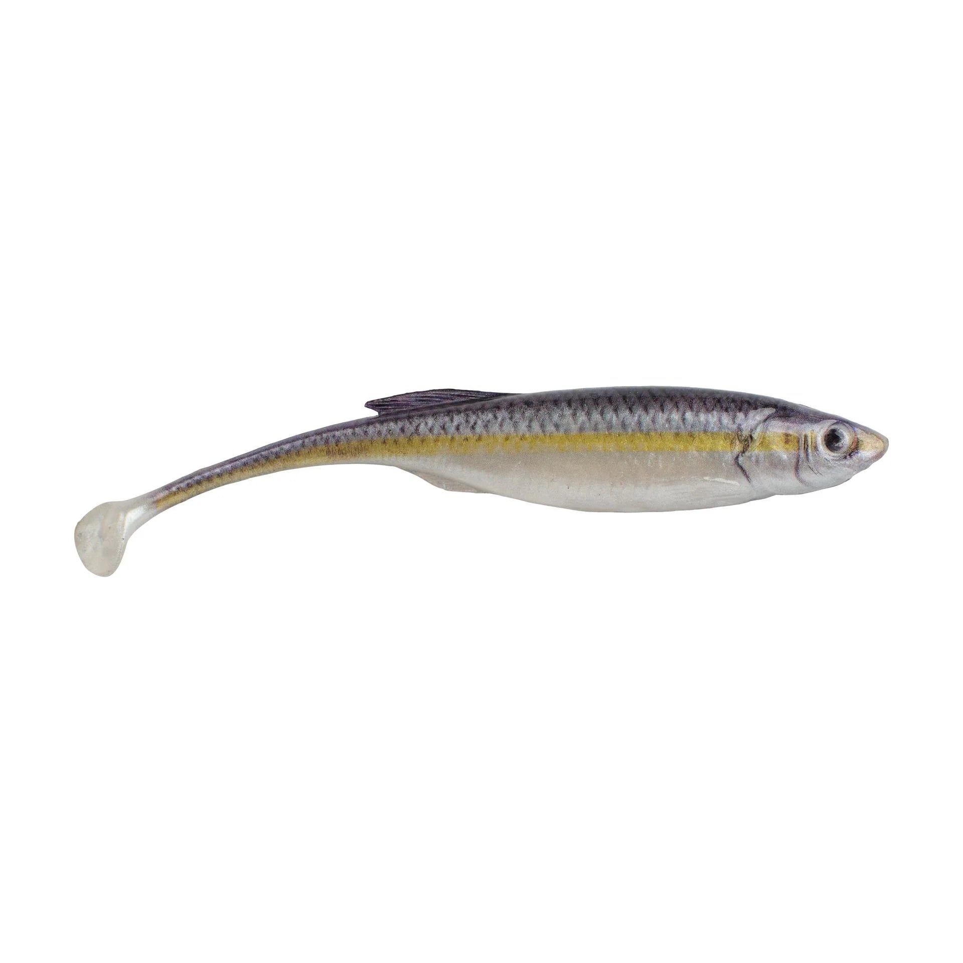 Black Shad