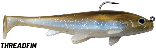 Threadfin Shad - 007