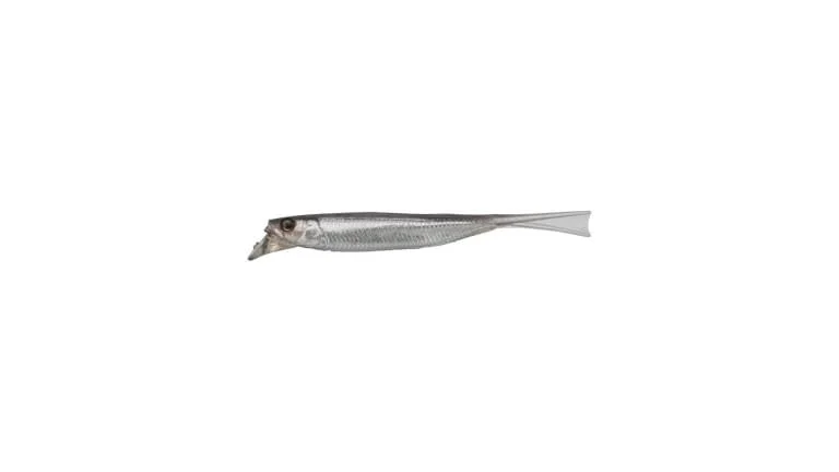 Silver Shad