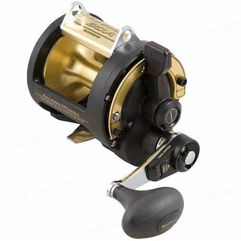 Shimano TLD 2 Speed Reel